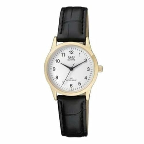Q&Q Relojes de Pulsera para Hombres Modelo Analogové hodinky C213J104. Marca