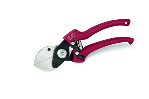 Archman 191 Forbice Doppio-Taglio, Lame Intercambiabili 21 cm