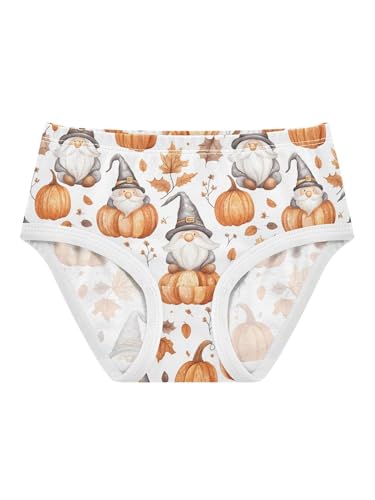 ZZKKO Gnome and Maple Leaves Pumpkins Girls Underwear Toddler Panties for Girls Comfort Brief Size 2T
