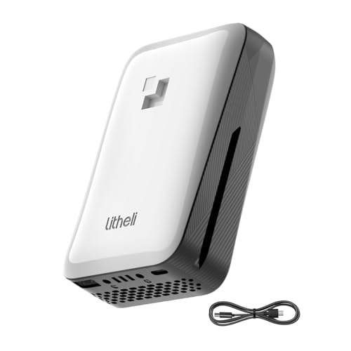 Image of LiTHELi Battery Pack 20V 2.0Ah, Replacement Lithium Batteries U20 Power Tools and Outdoor Power Equipment