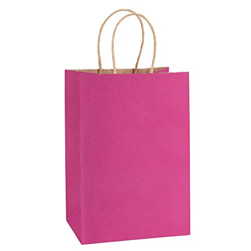 BagDream 25Pcs Hot Pink Gift Bags 8x4.25x10.5 Kraft Paper Gift Bags with Handles for Shopping, Small Business, Retail Merchandise Grocery, Birthday Party Favor, Medium Pink Paper Sacks