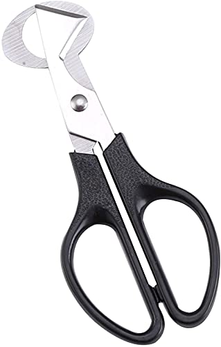 痑؂ Jb^[ GbOJb^[ ͂ ̗؂藑 @ NGCeBuXeX|Jbgkp Lb`p (ubN)