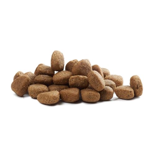 Hundefutter Boons Iberisches Schweinefleisch (für Hunde Aller Größen geeignet) Größe 100 g