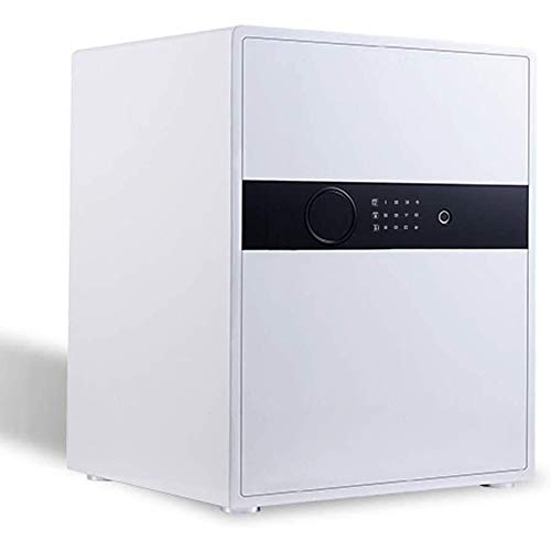 Coffre-fort biométrique et numérique en acier : protection anti-feu
