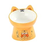 Baoblaze Keramik-Katzenfutternäpfe mit hohem Fuß, erhöht, spülmaschinenfest, zum Füttern und Trinken, Rückflussverhinderung, Tierfutter, Wassernäpfe, l