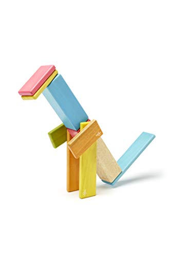 Amazon.com: Tegu: classics
