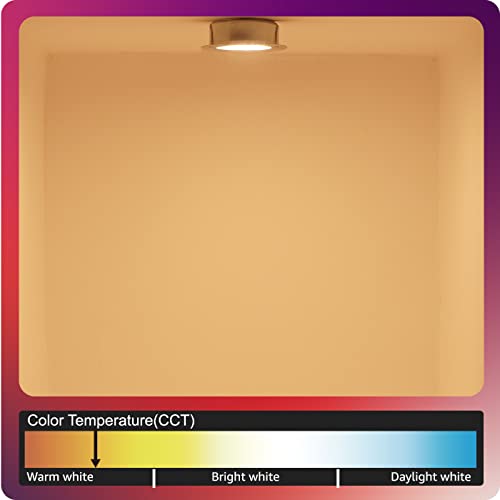 G4 LED Bi-pin 2700K Bulb Disc 24V 28V Warm White 2 Watt - JC G4 Bi Pin Bulb G4 20W Halogen Bulb Replacement for RV Interior Puck Lights - Under Cabinet LED Light Bulbs G4 T3-6 Pack