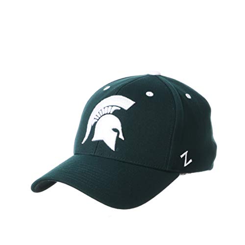 NCAA Michigan State Spartans Mens Stretch Fitted Hat Team Color, Michigan State Spartans Forest, Large