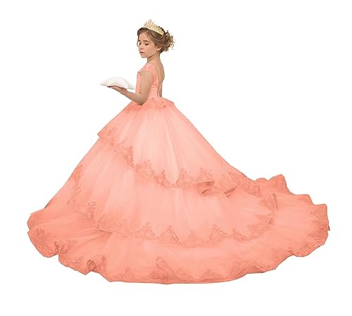 Lovely Flower Girl Dress Tulle lace Applique Princess Pageant Ball Gown with Train