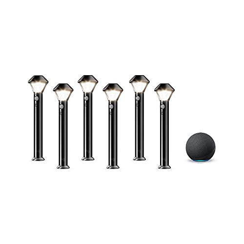 Ring Solar Pathlights, 6-pack bundle with Echo (4th Gen) - Charcoal