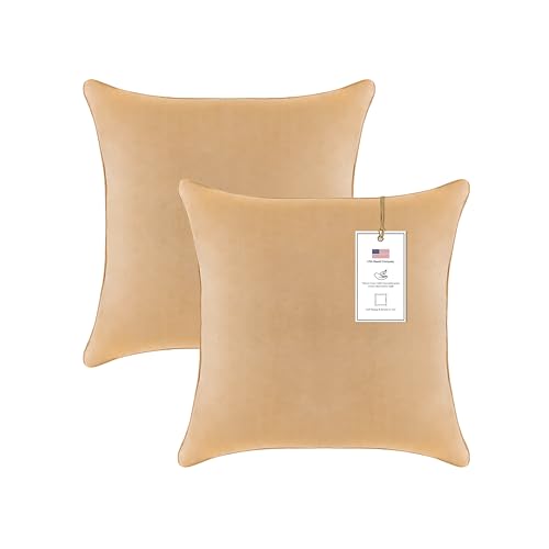 A1HC Ready to Use Velvet Throw Pillow Well Filled with Hypoallergenic Down Alternative Infill Offering Ultimate Comfort and Support (Mocha, Pillow Insert Pack of 2, 22"x22")
