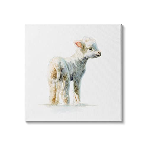 Stupell Industries Shaggy Lamb Watercolor Painting Children's Nursery Animal Canvas Wall Art, 17 x 17, White