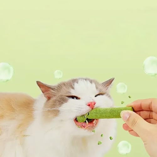 Aomhrek Katzengras Sticks, Katzengras Snack, Katzenminze, Katzen Snacks, Katzen Zahnpflege, Gefriergetrocknet Snacks FüR Die Zahnpflege Und HaarknäUel Entfernen