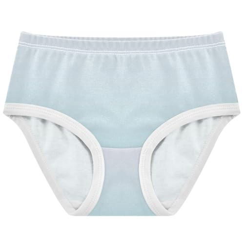 Joisal Magnolia Aqua Gradient Ombre Cute Panties Girl Toddler Girls Underwear Cotton Fun Print Briefs Girls Undies 2t