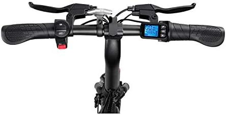 F-wheel DYU Smart Electric Bike D3 Plus : Sport e tempo libero