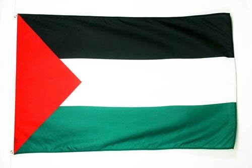 AZ FLAG Palestine Flag 3' x 5' - Palestinian flags 90 x 150 cm - Banner 3x5 ft Light polyester