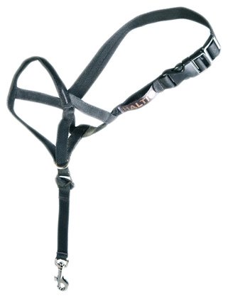 Europet Bernina International Dog Trainer Halti Size 1