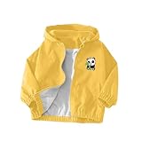 Children Boy Girl Brunch Jackets Hoods Outfit for Kid Long Sleeve Cat Print Cute Hooded Cardigan Winter Fall Coats 2026 Clothes Fashion 1 Year