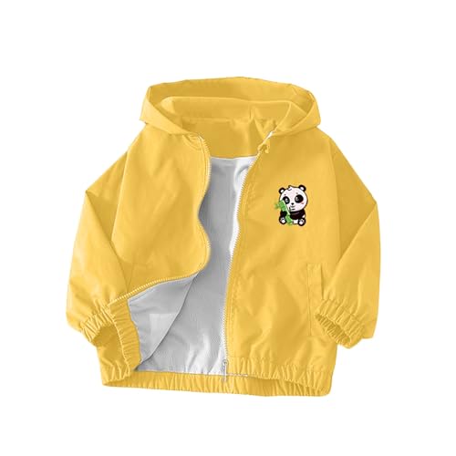 Children Boy Girl Brunch Jackets Hoods Outfit for Kid Long Sleeve Cat Print Cute Hooded Cardigan Winter Fall Coats 2026 Clothes Fashion 1 Year