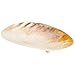 Cyan Design 9834 Small Abalone Tray