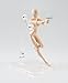 TAMASHII NATIONS Bandai S.H. Figuarts Woman DX Set