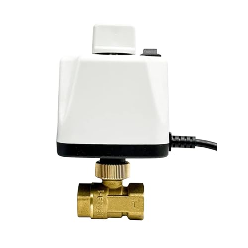 Vanne motorisée DN50 220V pour stopper les fuites d'eau avec contrôle manuel