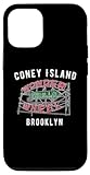 custodia per iphone 15 coney island brooklyn new york