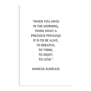 Stoic Philosophy Quote Marcus Aurelius What A Precious Privilege It is to Be Alive – indrukwekkende poster voor de…