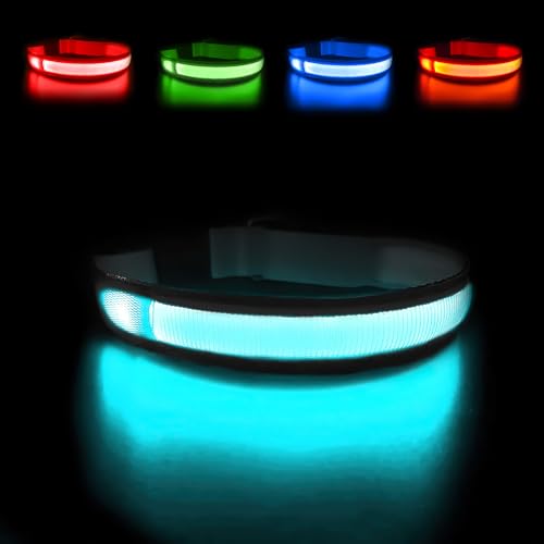 MASBRILL Leuchthalsband Hund, Hundehalsband Leuchtend Aufladbar USB-C, LED Halsband für Hunde Einstellbare Wasserdicht, Halsband Hund Leuchtend 3 Lichtmodi für Kleine Mittlere Große Hunde(Schwarz L)