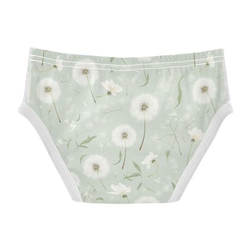 visesunny Boys Potty Training Underwear Spring Summer Dandelion Pattern Breathe Cotton Briefs Size 2T-8Y for Toddler2