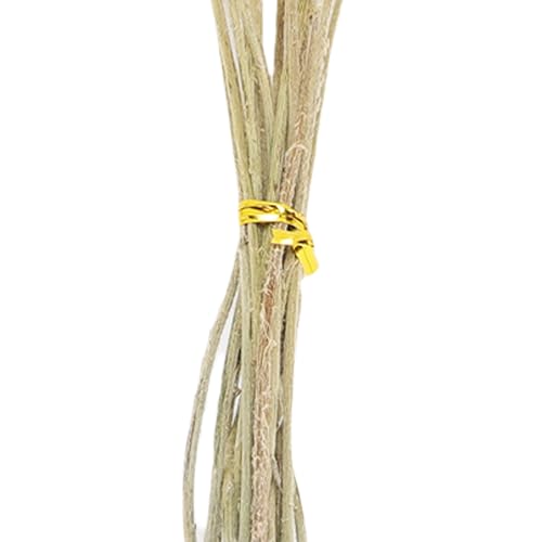 Ramo de flores secas Zerone diseño elegante para decoración miniatura 7