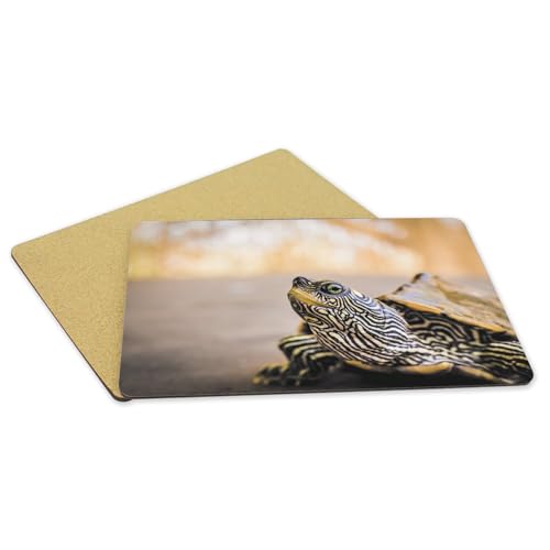 Sets de table liège tortue anti rayure grand format protège table napperon souple - 5