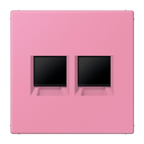 Plaque modulaire Jack-Rad avec 2 prises LC4320C JUNG intégrées - 2