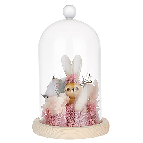 PH PandaHall Glass Display Dome Cloche