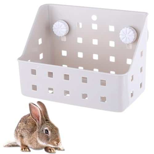 ateena qtB[_[ `V[  q tB[_[ bg a P[W t Ot lWsv (zCg, MTCY)