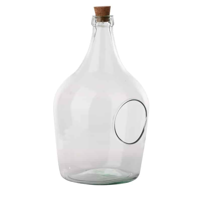 Bouteille terrarium 5 Litres