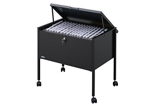 Preisvergleich Produktbild DURABLE Hängemappen-Wagen"Economy 80 Top", schwarz