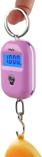 Digital Fish Scale 25Kg/5g - Compact Electronic Hanging Scale with Backlight for Fishing, Luggage, and Kitchen Use - Portable Mini Scale for Accurate Weighing