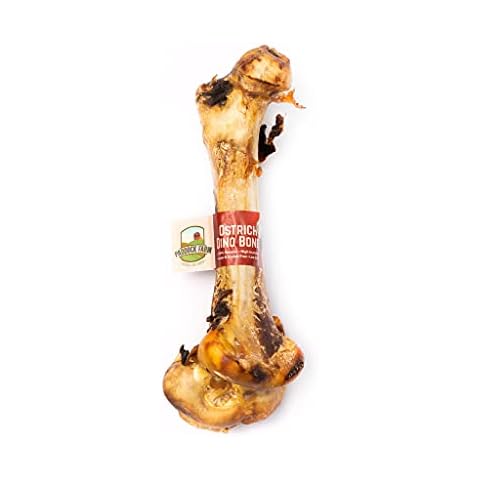Ostrish Dino Bone Dog Chew Cover
