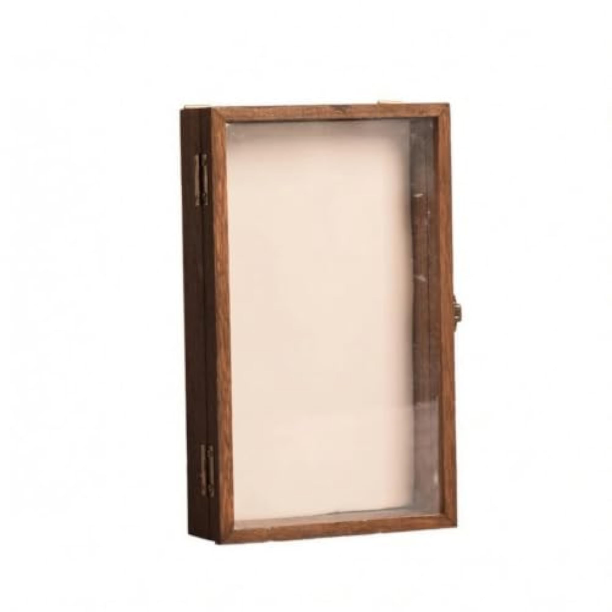 Transparent Wooden Display Case with Hinged Door