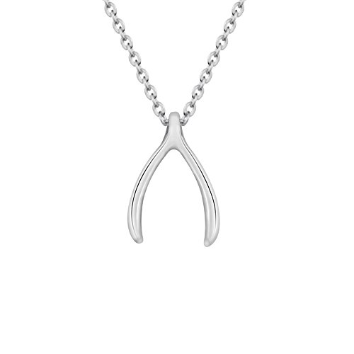 AOCHEE Delicate Lucky Wishbone Pendant Necklace Good Luck Wishbone Necklace 16