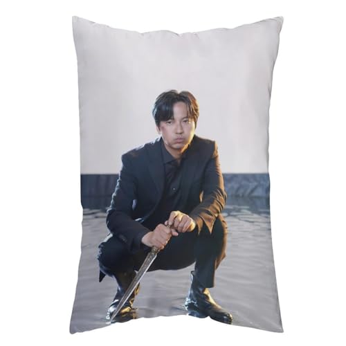 キム・ナムギル2 抱き枕カバー 長方形 等身大クッションカバー 両面プリント 気持ちいい 安眠 隠しファスナー式 伸縮性 着脱簡単 肌触り良い 柔らかい 四季兼用 ベッド飾り 20"x30"