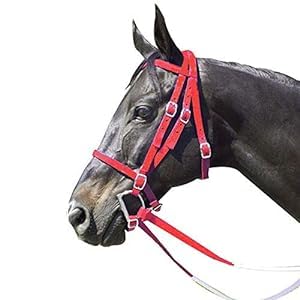 BLESSING PET SUPPLY Horse Bridle, Harness, Durable For Horse Nylon Race Horse Bridle With Export Quality Bit (Red)
