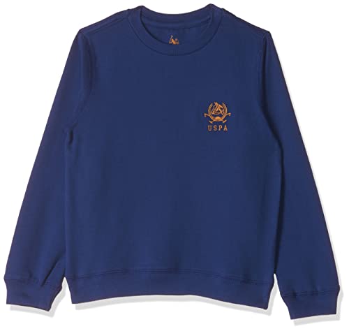 Image of U.S. Polo ASSN. Boys Sweatshirts