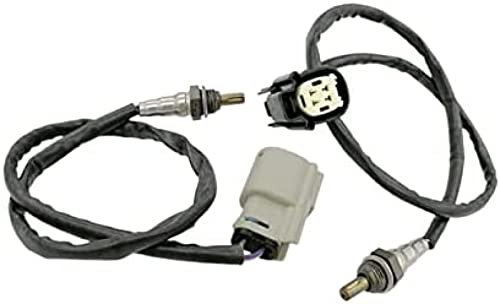 Sonde Lambda OE 32700005 pour Harley Davidson Dyna Softail et VRod 2012-2017