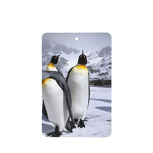 A[NeBbNAj}yM ԗpF p[\iCYꂽXCX J[A}Zs[^ubg ݂艺F܃J[h [vt 4 ԂƂ̑p