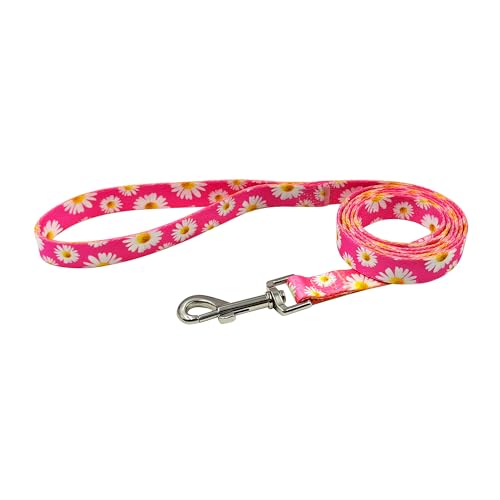 Olahibi ORTCI Dog Collar And Leash Set thumb #7