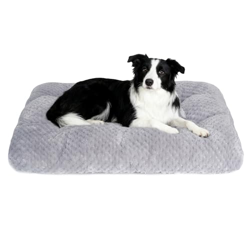 CHMKSTC ybgNbV ybg}bg  NbV L}bg xbh ӂӂ g _炩 ~ p^ ې ΍ ۉh P[W 薰 Lp //^ybgp}bg (STCY55×40cm)