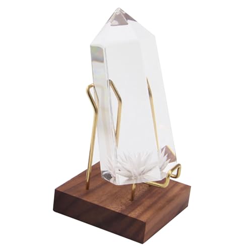 【Materiale robusto】 Per una maggiore durata, la base e il supporto del Rock sono realizzati rispettivamente in legno e (viene venduto solo il supporto e gli articoli esposti non sono inclusi).
