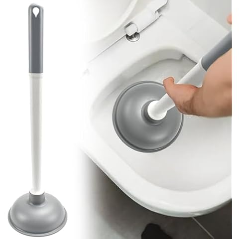 Déboucheur de Toilette LANSKYLAN Cover